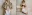 banner Befree