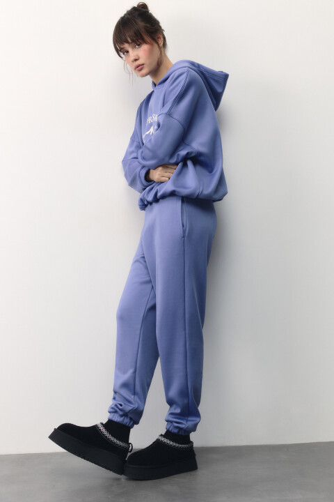 

Брюки-джоггеры спортивные с начесом, Голубой, Брюки-джоггеры спортивные с начесом