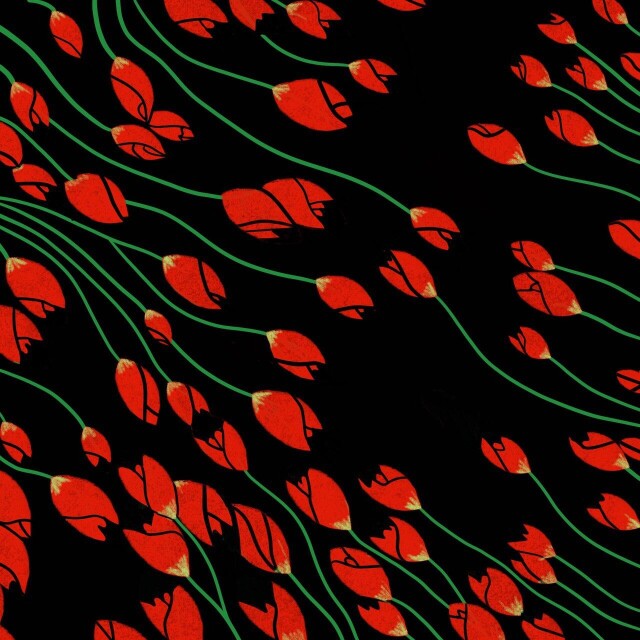 Тюльпаны - CO:CREATE 1