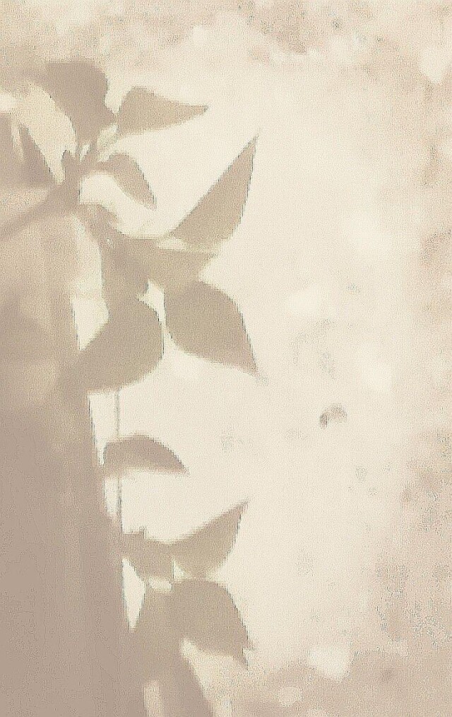 Тени - CO:CREATE 2