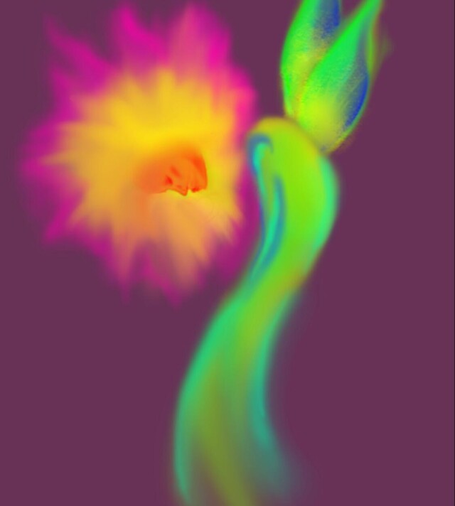 Душа - CO:CREATE