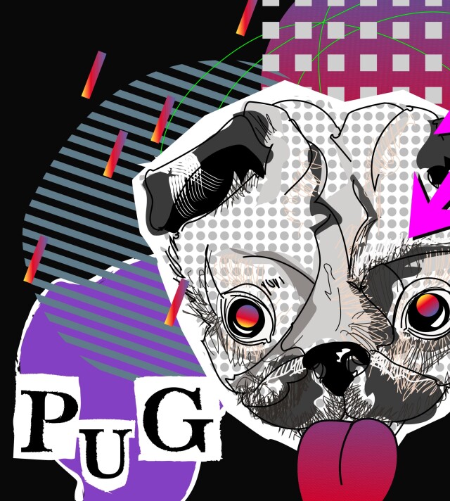 Мопс в текстурах - CO:CREATE