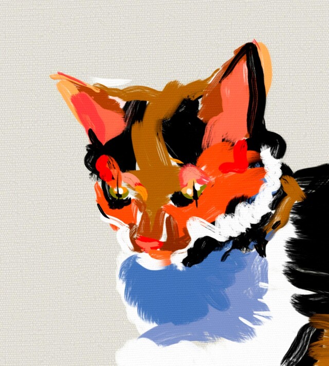 Золотая Соня #003 - CO:CREATE