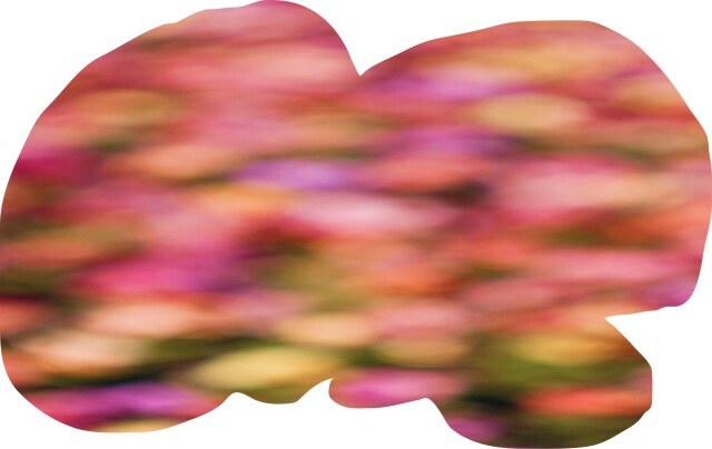 bodies of nature - CO:CREATE 2