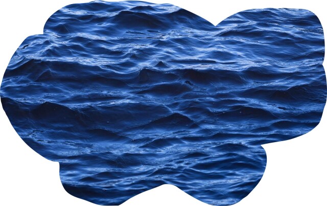 bodies of nature - CO:CREATE 3