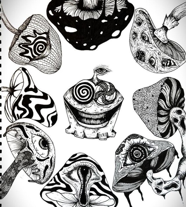 Амням? - CO:CREATE