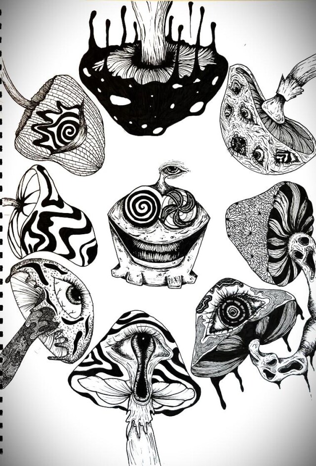 Амням? - CO:CREATE 1