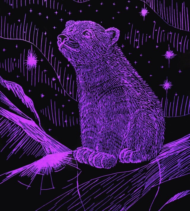 Медвежонок - CO:CREATE