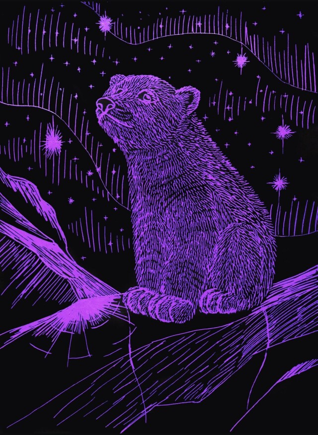 Медвежонок - CO:CREATE 1