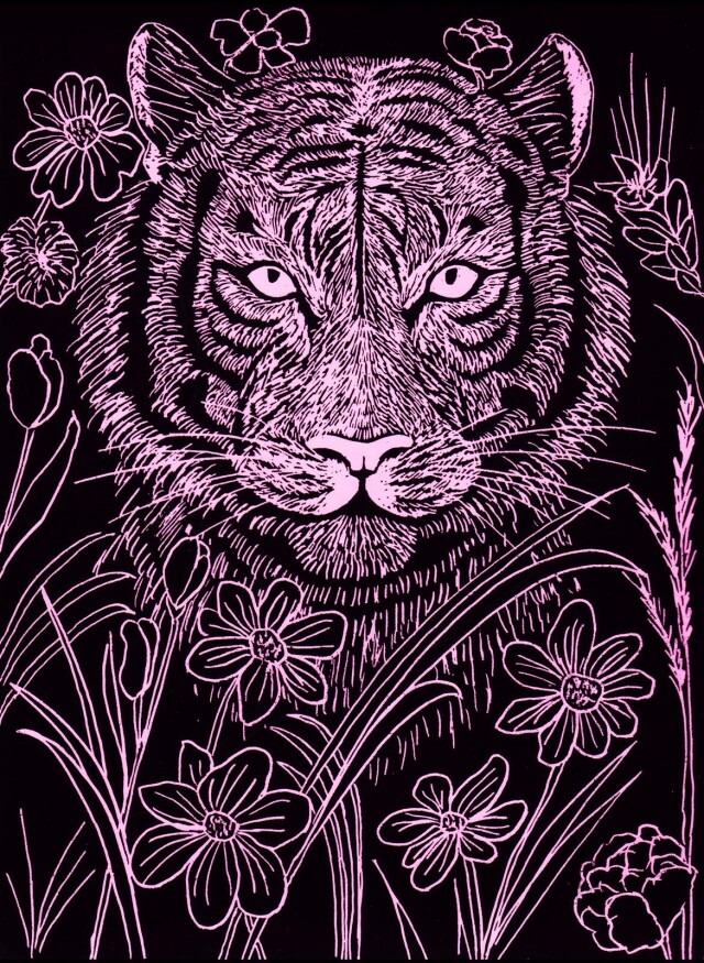 Тигр - CO:CREATE 1