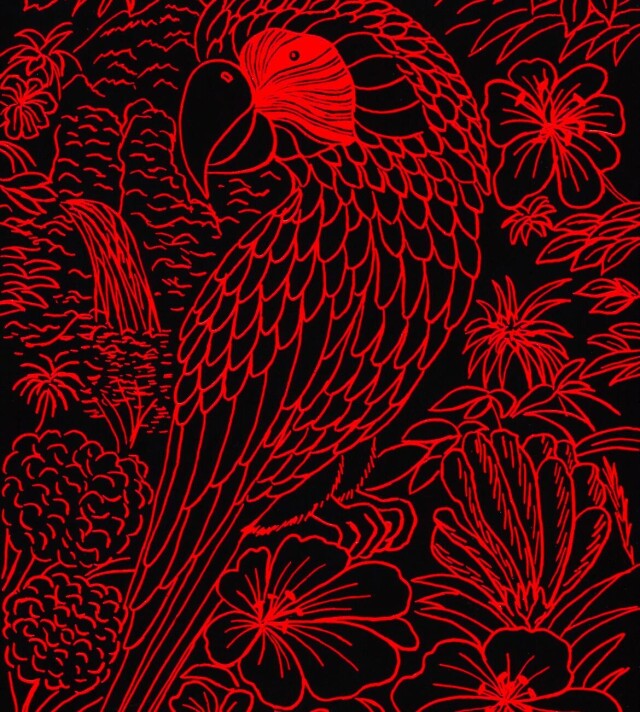 Попугай - CO:CREATE