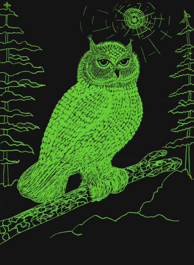 Мистическая сова - CO:CREATE 1