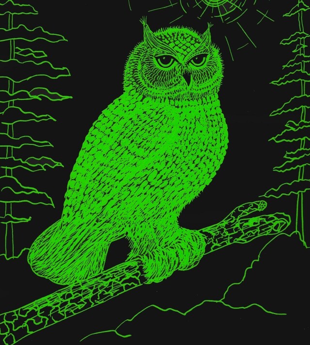 Мистическая сова - CO:CREATE