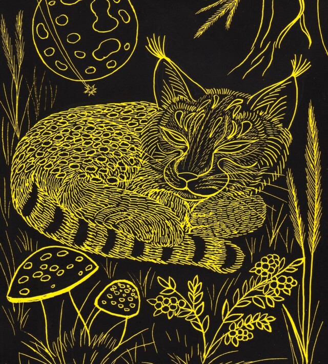 Сон рыси - CO:CREATE