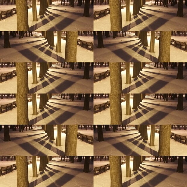 Тени в парке - CO:CREATE 7