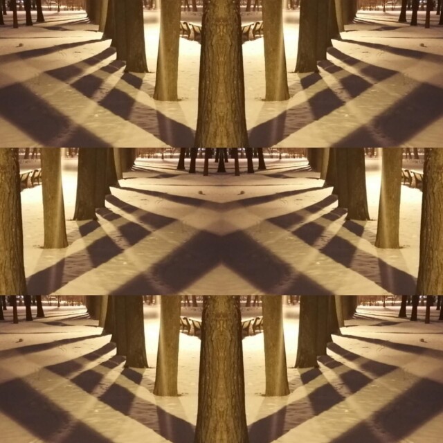 Тени в парке - CO:CREATE 6