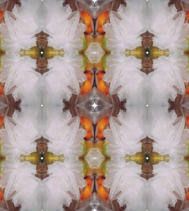 Снежность - CO:CREATE