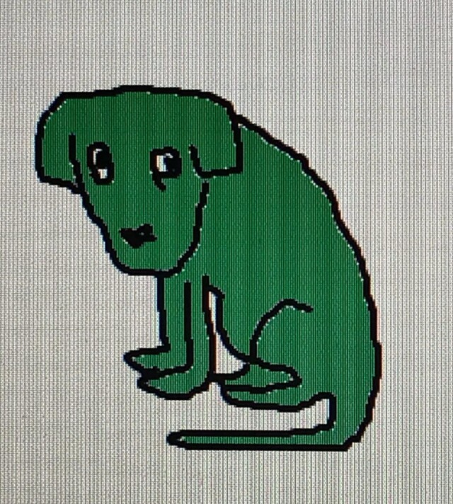 puppy🎾i kot🐟 - CO:CREATE