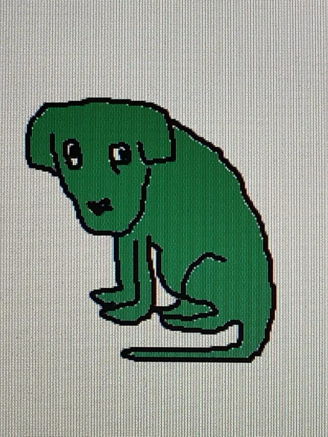 puppy🎾i kot🐟 - CO:CREATE 1