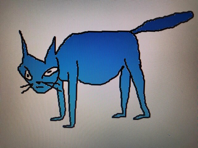 puppy🎾i kot🐟 - CO:CREATE 2