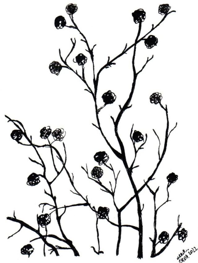 Серия открыток - CO:CREATE 2