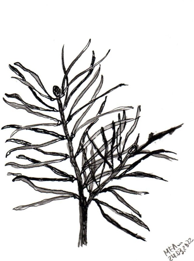 Серия открыток - CO:CREATE 4