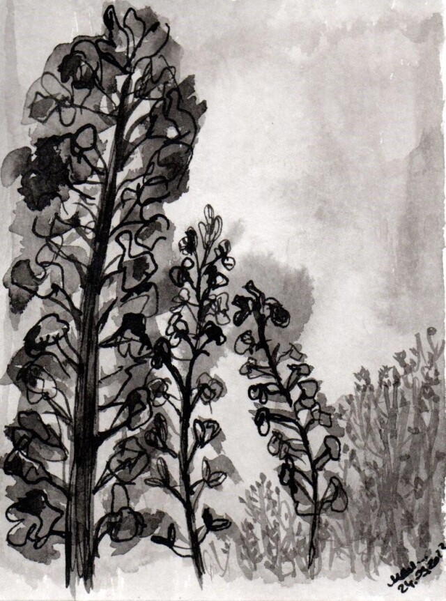 Серия открыток - CO:CREATE 5