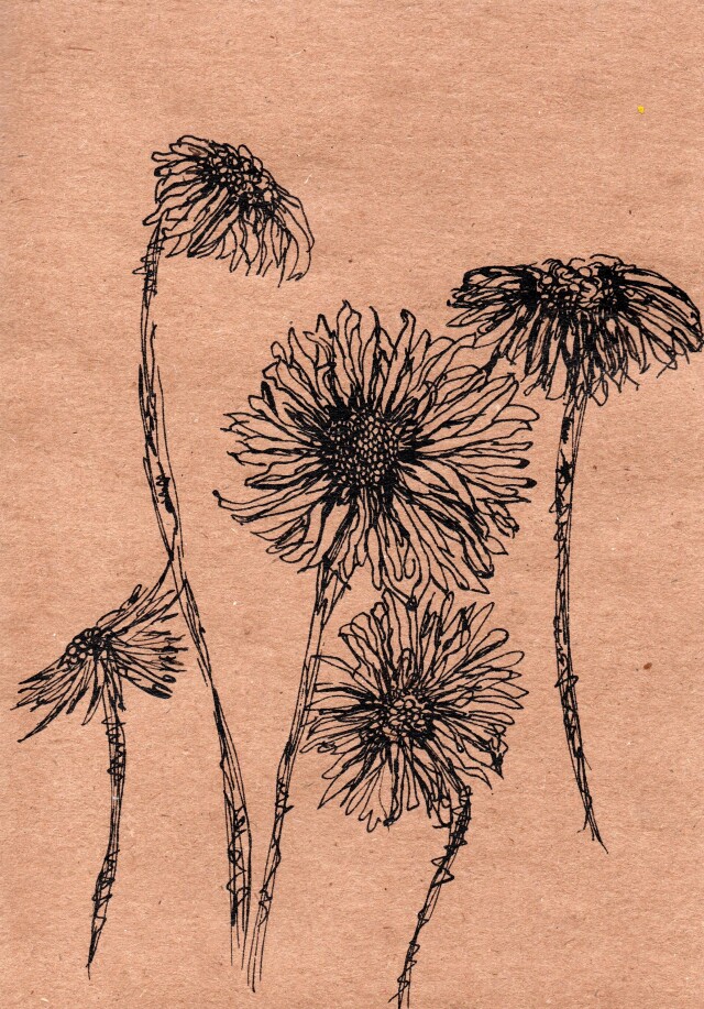 Серия открыток - CO:CREATE 7