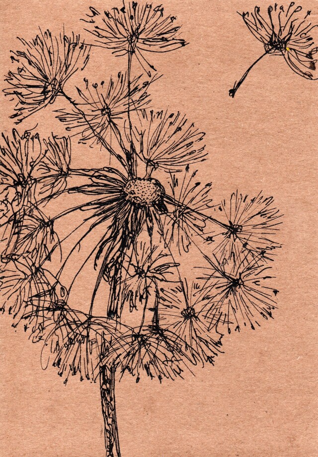 Серия открыток - CO:CREATE 1