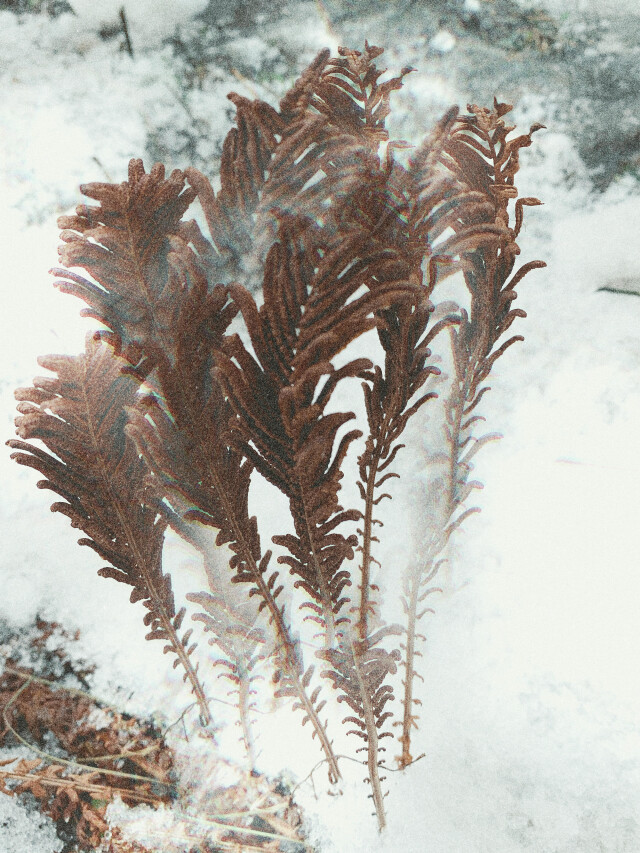 Вижу - CO:CREATE 5