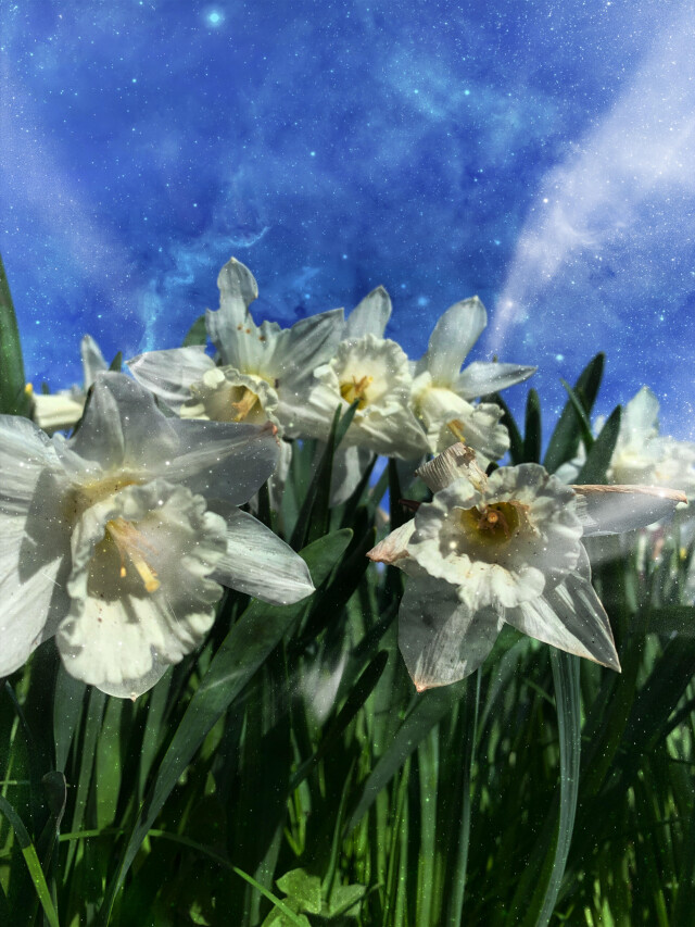 Вижу - CO:CREATE 2