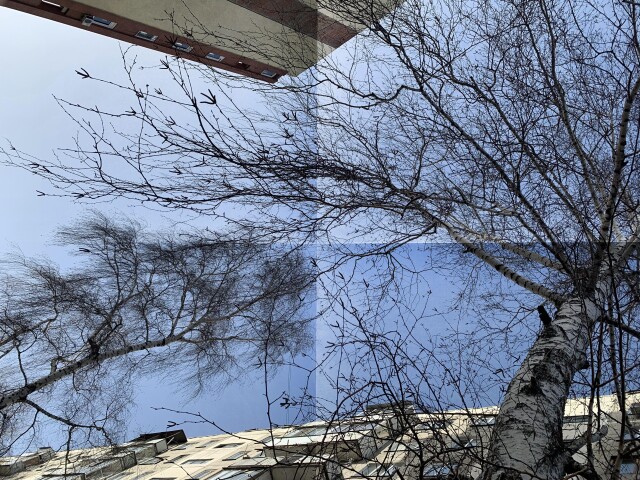 Вижу - CO:CREATE 7