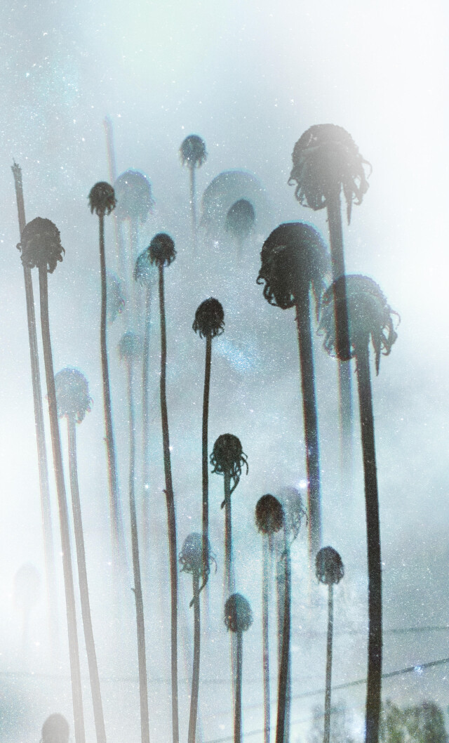 Вижу - CO:CREATE 6