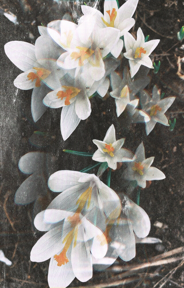 Вижу - CO:CREATE 4