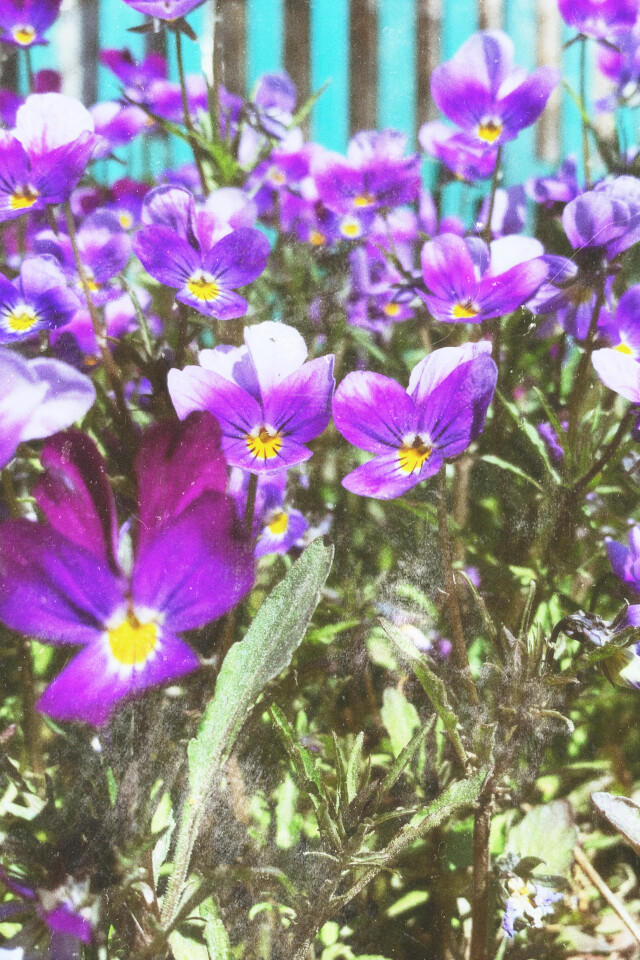 Вижу - CO:CREATE 1