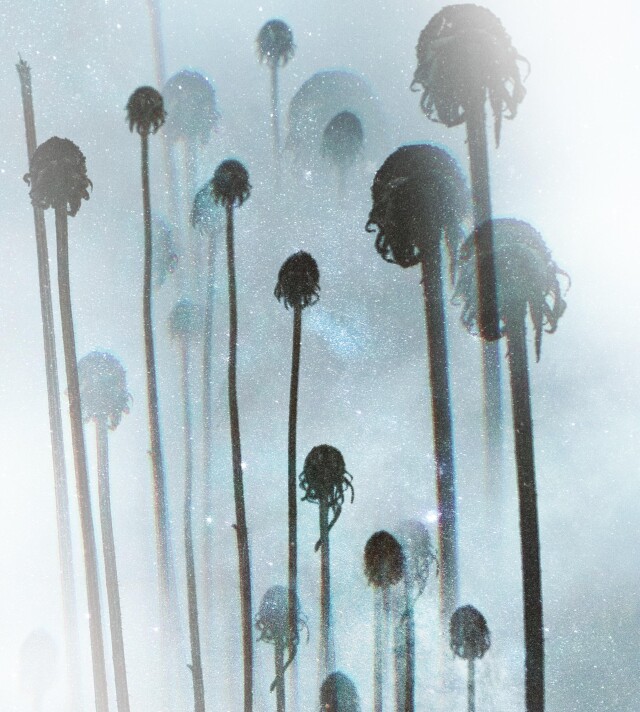 Вижу - CO:CREATE