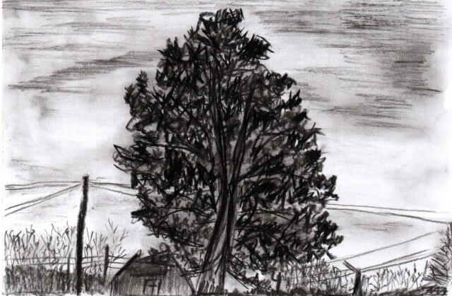 Зарисовки - CO:CREATE 3