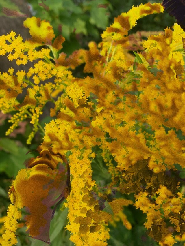 Портреты - CO:CREATE 4