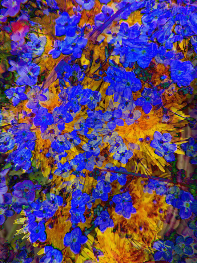 Фото - CO:CREATE 8