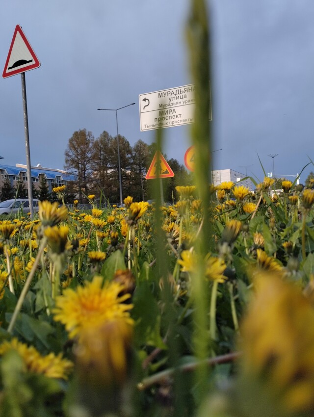 Небушко - CO:CREATE 4