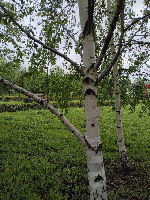 Небушко - CO:CREATE 5