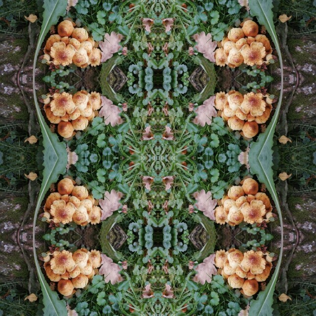 В лесу! - CO:CREATE 3