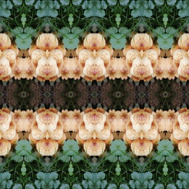 В лесу! - CO:CREATE 6