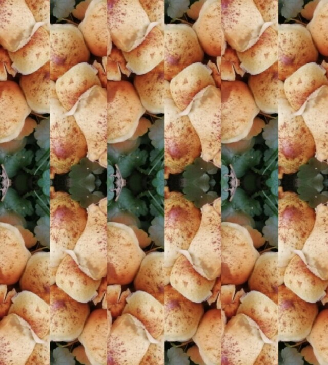 В лесу! - CO:CREATE