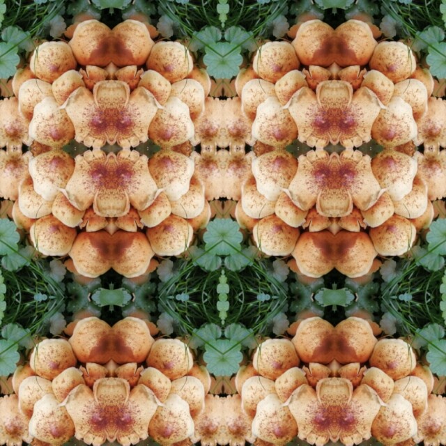 В лесу! - CO:CREATE 4