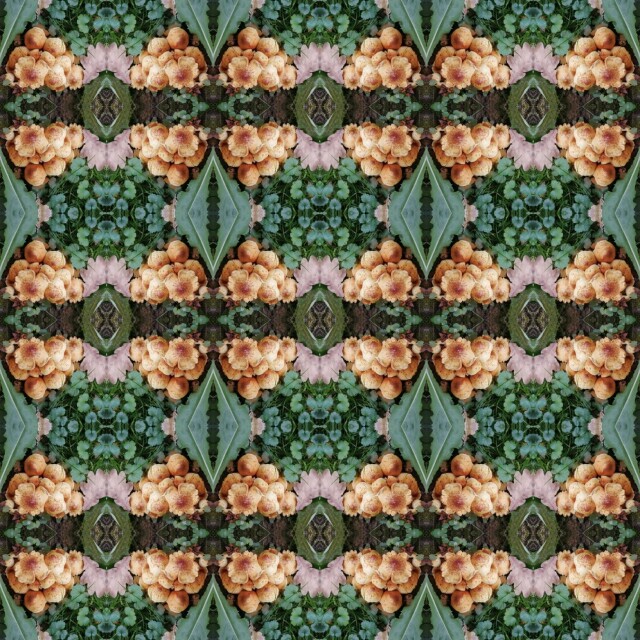 В лесу! - CO:CREATE 5