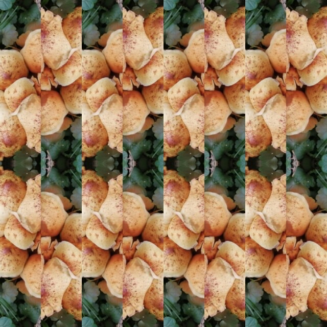 В лесу! - CO:CREATE 8