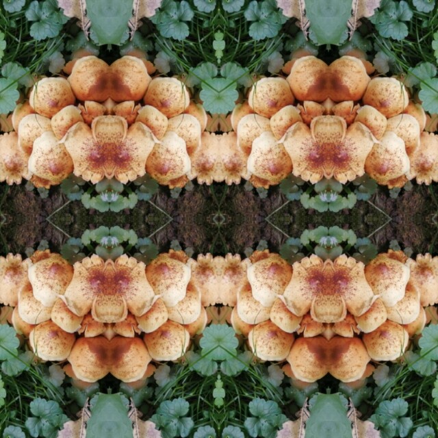 В лесу! - CO:CREATE 2