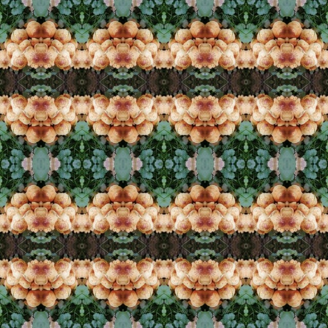 В лесу! - CO:CREATE 7