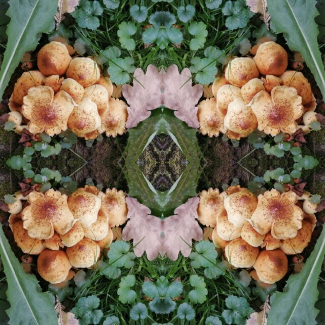 В лесу! - CO:CREATE 1